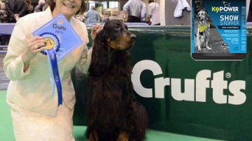 K9 SHOW STOPPER to have a glamorous look in the ring! 